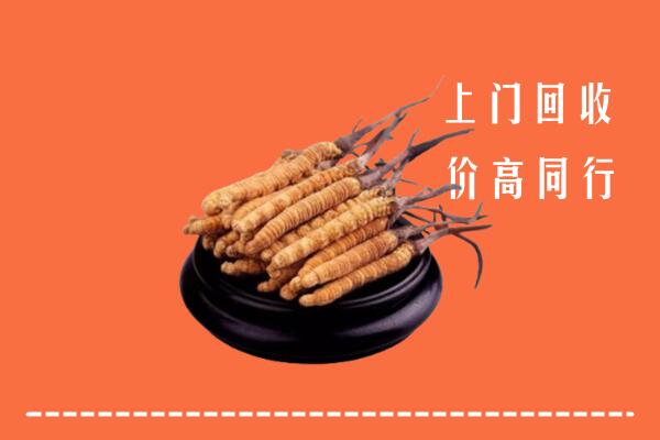高价求购：五指市回收散虫草