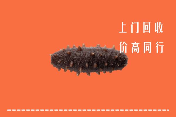 高价求购：五指市回收海参