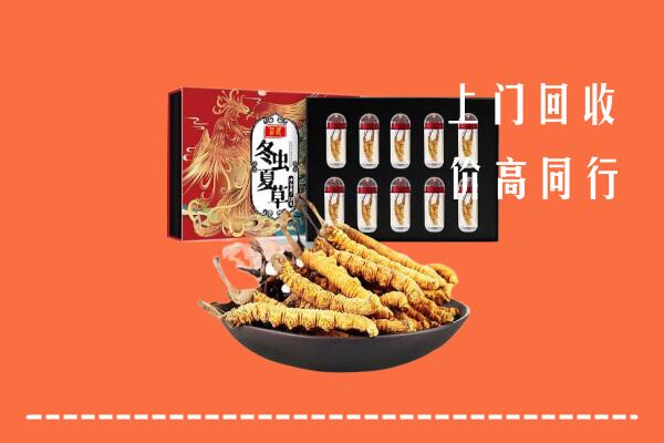 五指市回收虫草